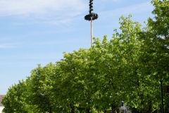 DSC09170