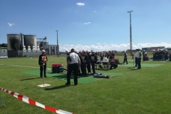 bew_aktiv_leiben (22)