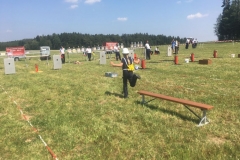 fj_bez_17 (10)