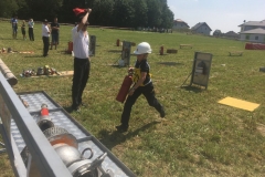 fj_bez_17 (14)