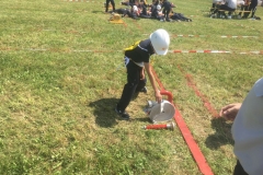 fj_bez_17 (15)