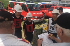 fj_bez_17 (21)