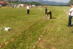 fj_bez_17 (22_1)