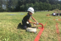 fj_bez_17 (4)