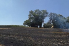 20170801_brand_stroh (11)