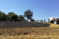 20170801_brand_stroh (15)