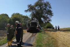 20170801_brand_stroh (16)