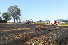 20170801_brand_stroh (2)