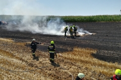 20170801_brand_stroh (4)