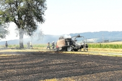 20170801_brand_stroh (5)