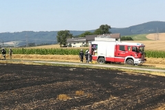 20170801_brand_stroh (6)