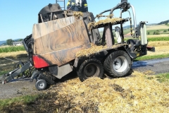 20170801_brand_stroh (9)