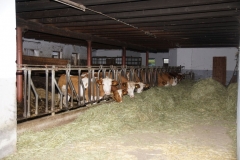 004_01.09.2017_18.48_1