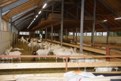 009_01.09.2017_18.52_1