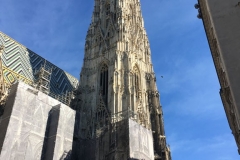 ffausflug (14)