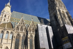 ffausflug (15)