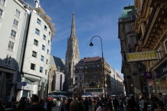 ffausflug (17)