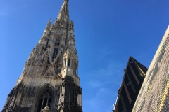 ffausflug (37)