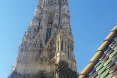 ffausflug (39)