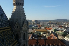 ffausflug (54)