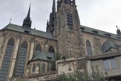 IMG_7366