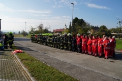 ff_teil1 (269)