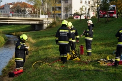 ff_teil1 (51)