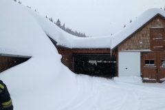 schnee8
