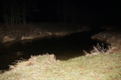 DSC05727