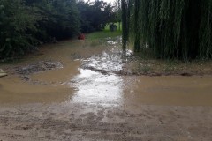 20200823_165227_resized