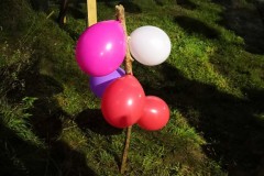 IMG_20200901_201248