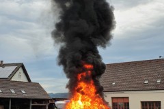 20210625_192040-960x1280