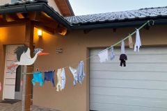 annagraf_storch-1