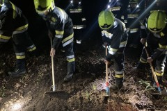 20300224_19_36_55.9400