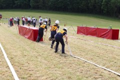 IMG_3916