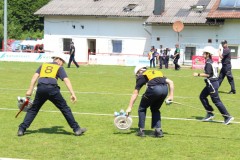 IMG_4229