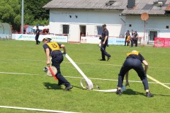 IMG_4231