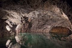IMG_1554_8