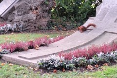 IMG_1565_8