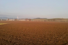 IMG-20241215-WA0008