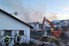 brand-fohregg-38