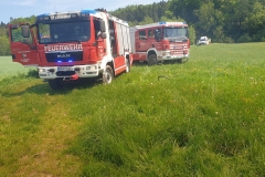 alfred-riedl-20250430-115522