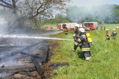 alfred-riedl-20250430-120001