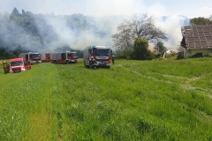 alfred-riedl-20250430-120306