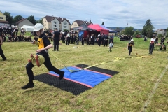 20250607_Abschnitt_Erlauf-12