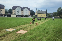 20250607_Abschnitt_Erlauf-20