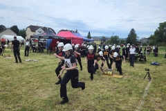 20250607_Abschnitt_Erlauf-5