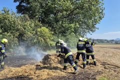 20250810-b1-brand-11