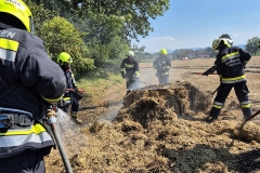 20250810-b1-brand-12