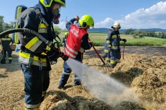 20250810-b1-brand-13-1